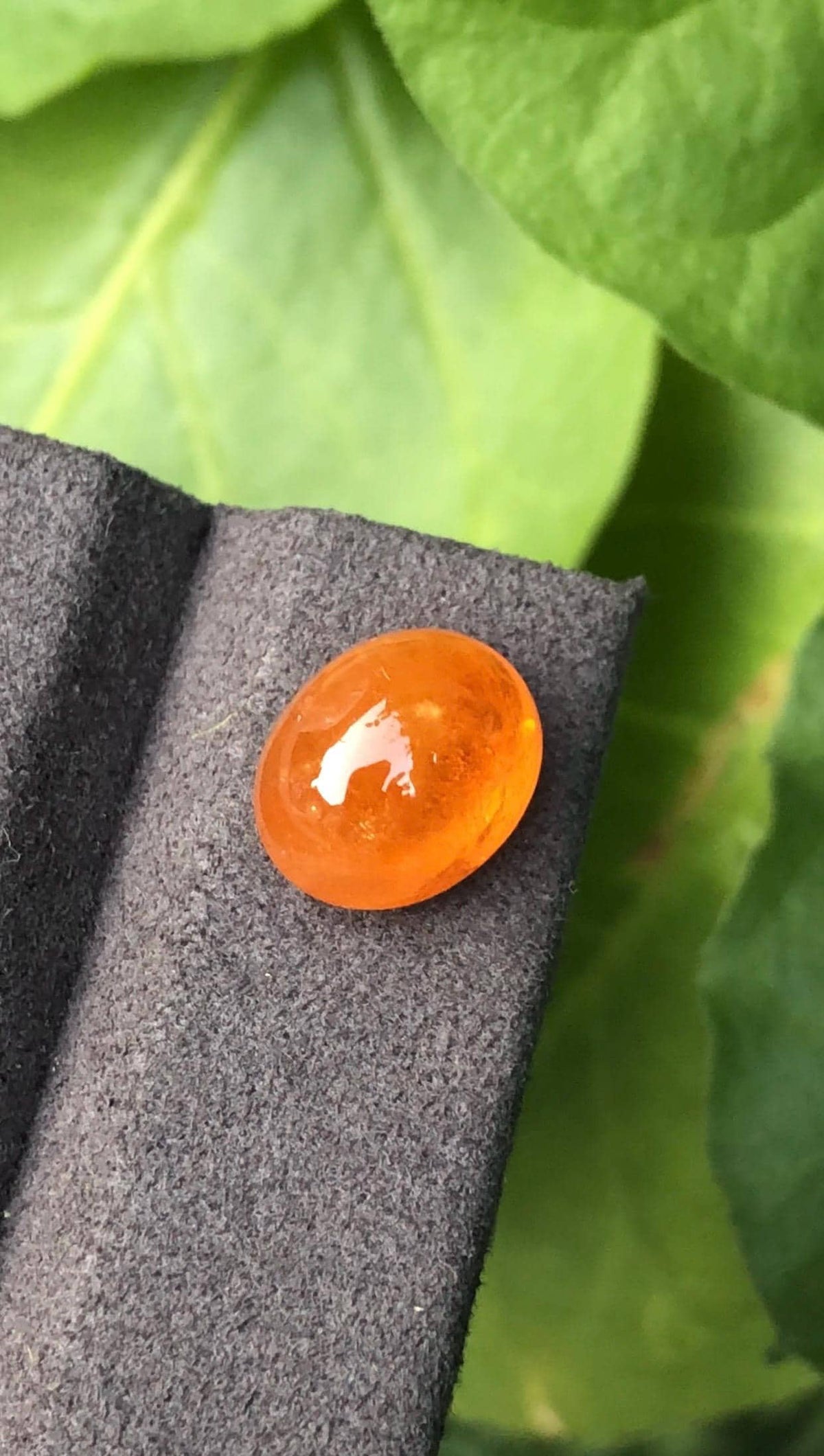 Mandarin Garnet 10.99 ct Cabochon — Natural Intense Orange Gemstone - photo 1