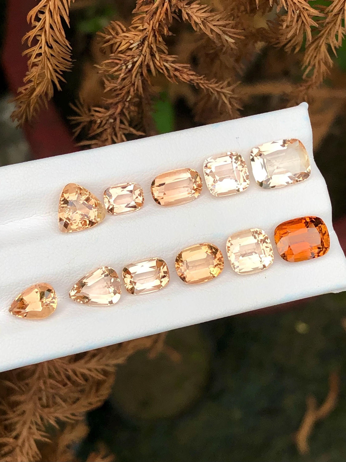 Golden Topaz 26.00ct Cushion — Natural Golden Gemstone - photo 1